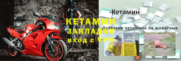 стафф Богородск