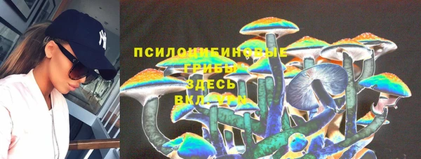 ГАЛЛЮЦИНОГЕННЫЕ ГРИБЫ Богородицк