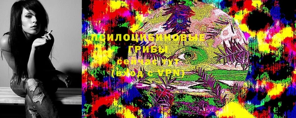 mdpv Богданович