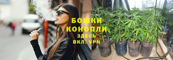 mdpv Богданович
